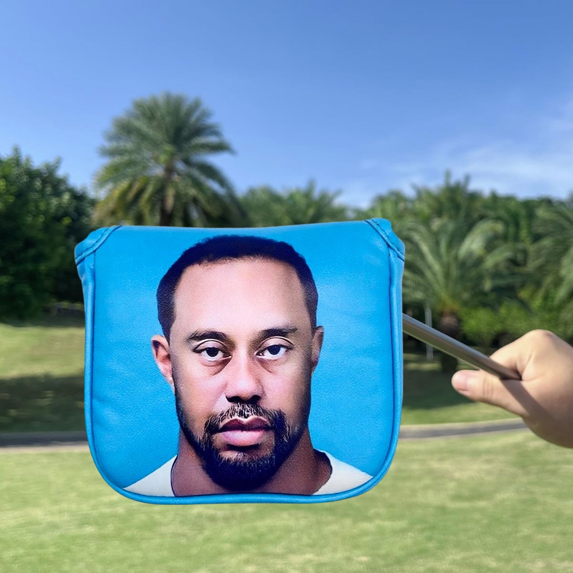 Funny Golf Mallet Putter Head  - Men'S Mens Accessories recension och pris
